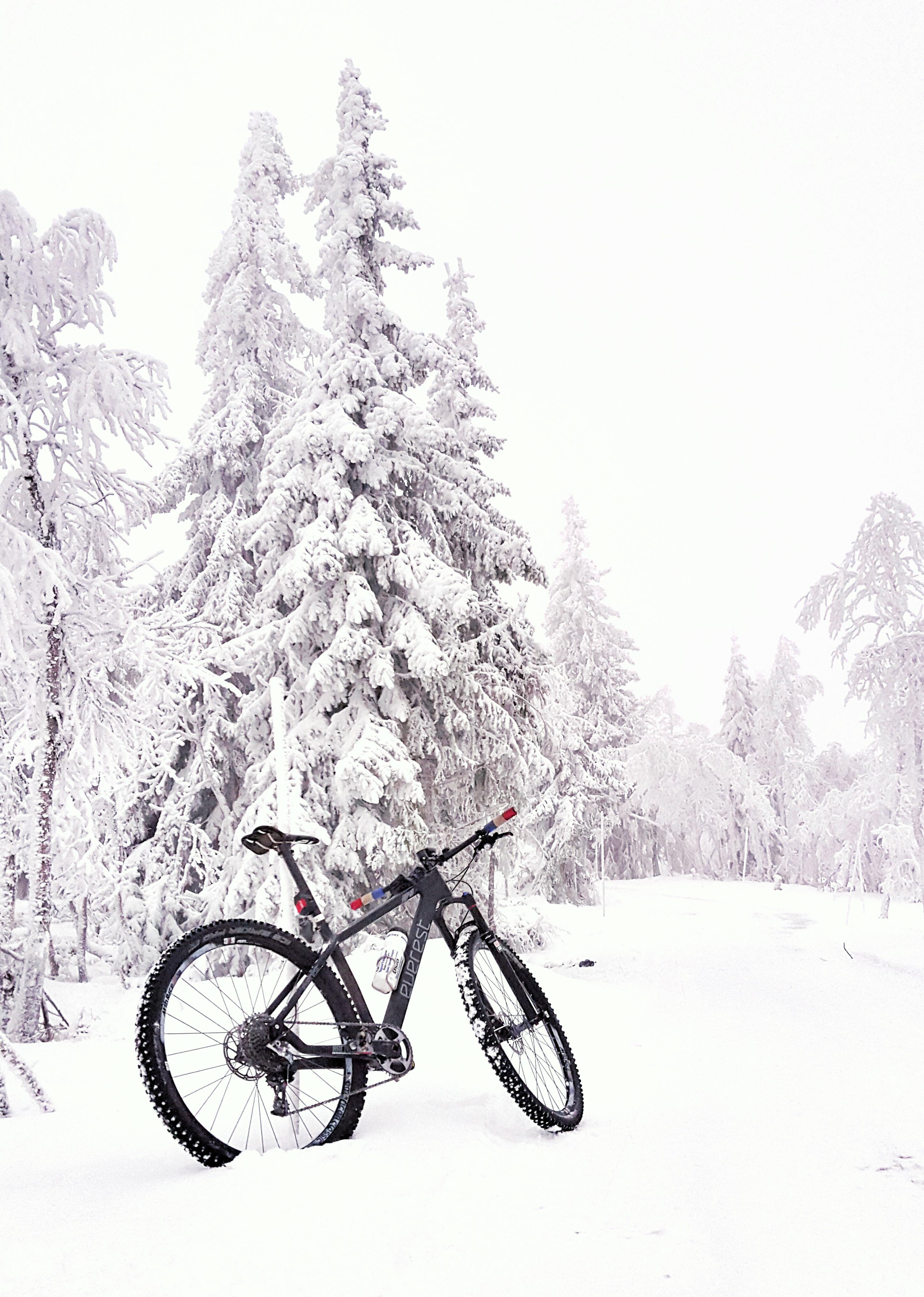 Idyllisk: Snøføre er naturligvis ingen hindring for treningstur på sykkel! Foto: Privat